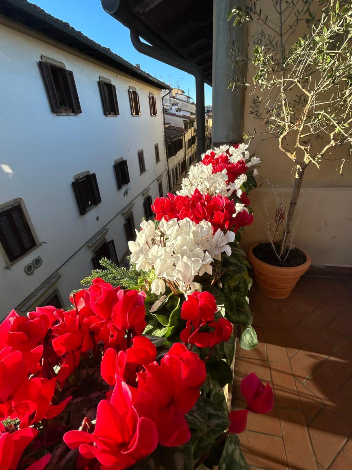 Hotel Botticelli Firenze Esterno foto