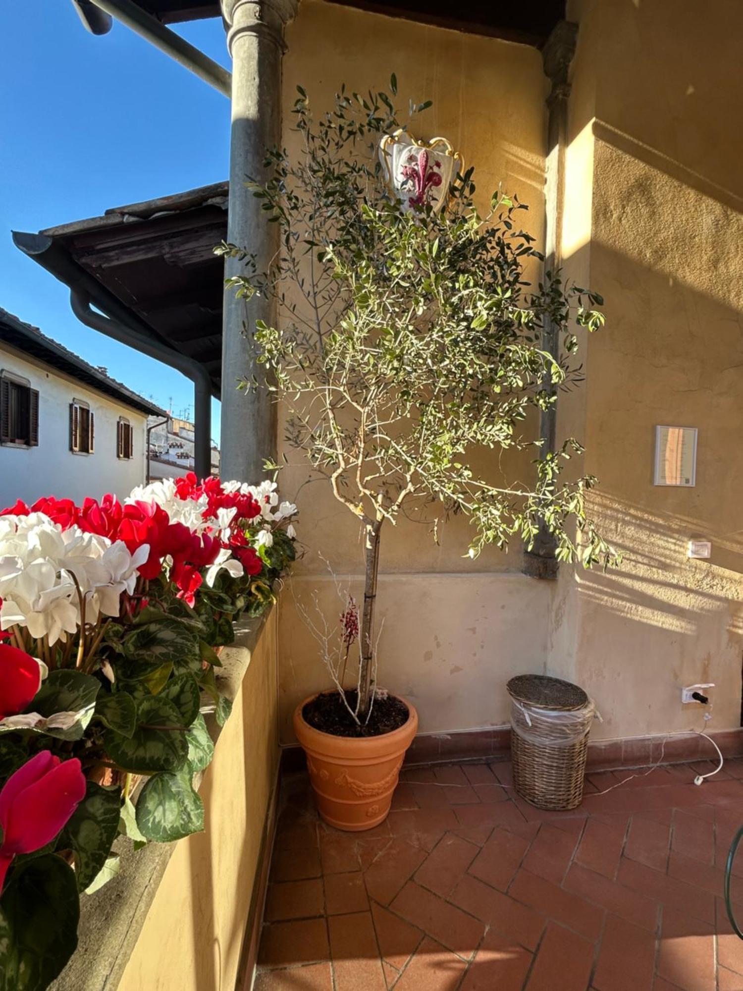 Hotel Botticelli Firenze Esterno foto